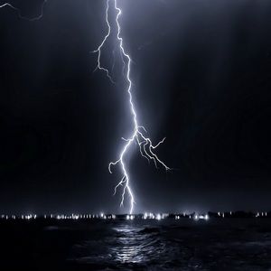 Meet your Posher, Gino